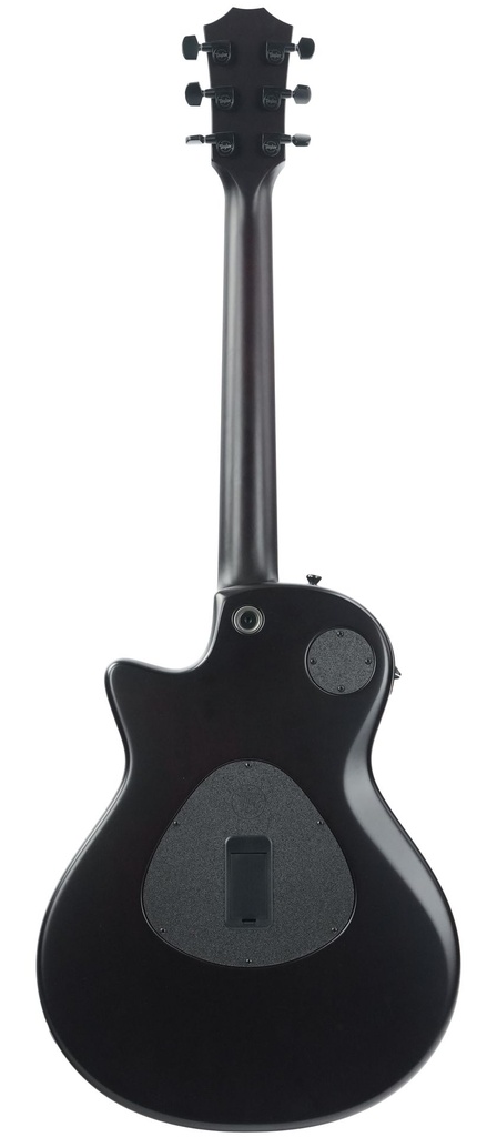 Taylor T5z Classic 2017-6.jpg