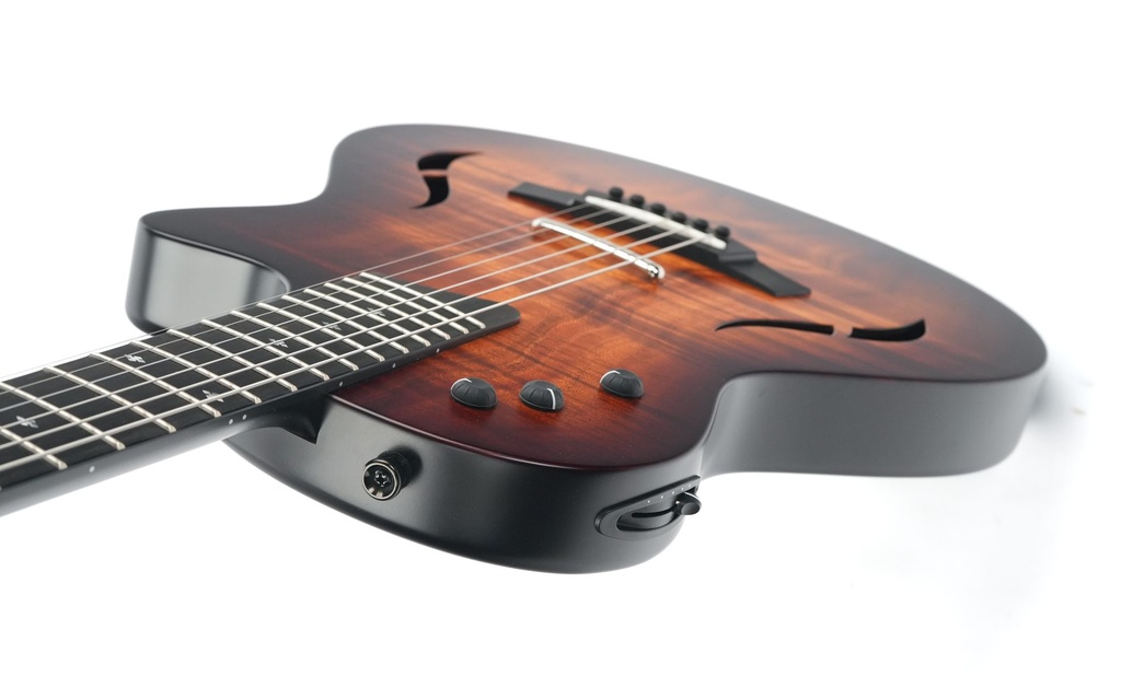 Taylor T5z Classic 2017-8.jpg