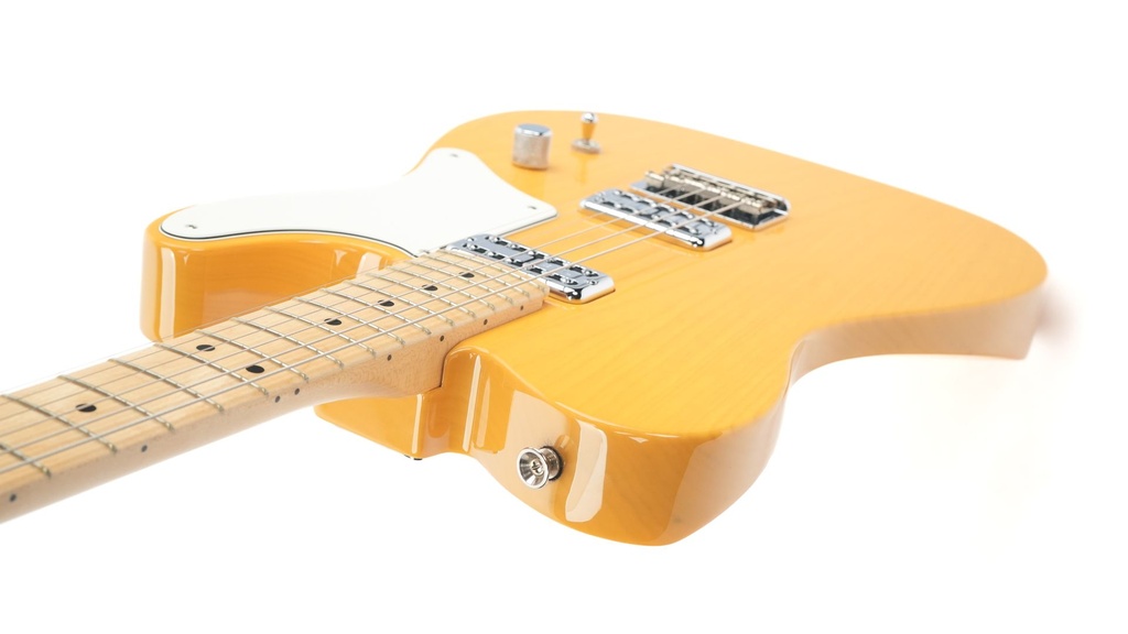 Fender LTD Cabronita Telecaster Butterscotch Blonde 2020-8.jpg