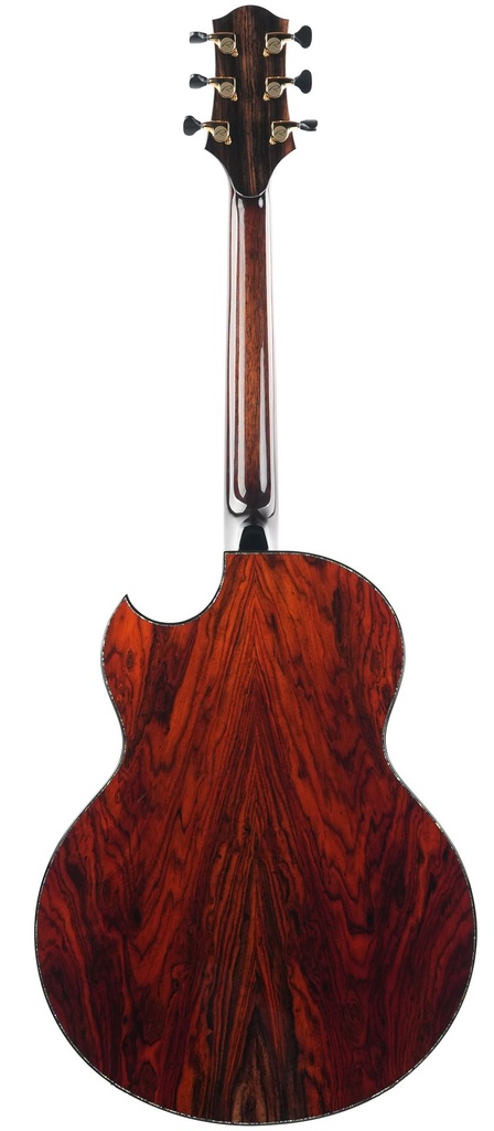 Kevin Ryan Nightingale Cocobolo Glacier Sitka Spruce 25th Ann-8.jpg