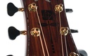 Kevin Ryan Nightingale Cocobolo Glacier Sitka Spruce 25th Ann-5.jpg