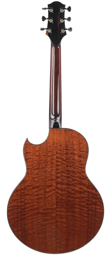 Kevin Ryan 20th Anniversary Paradiso Grand Concert Kingfisher 2021-7.jpg