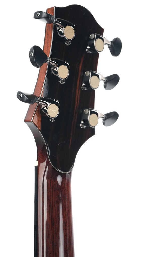 Kevin Ryan 20th Anniversary Paradiso Grand Concert Kingfisher 2021-6.jpg