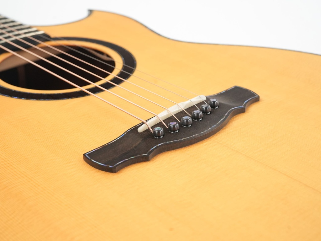 Kevin Ryan 20th Anniversary Paradiso Grand Concert Kingfisher 2021-11.jpg