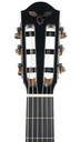 Goodall Special Reserve Myrtle Crossover 14 Fret-4.jpg