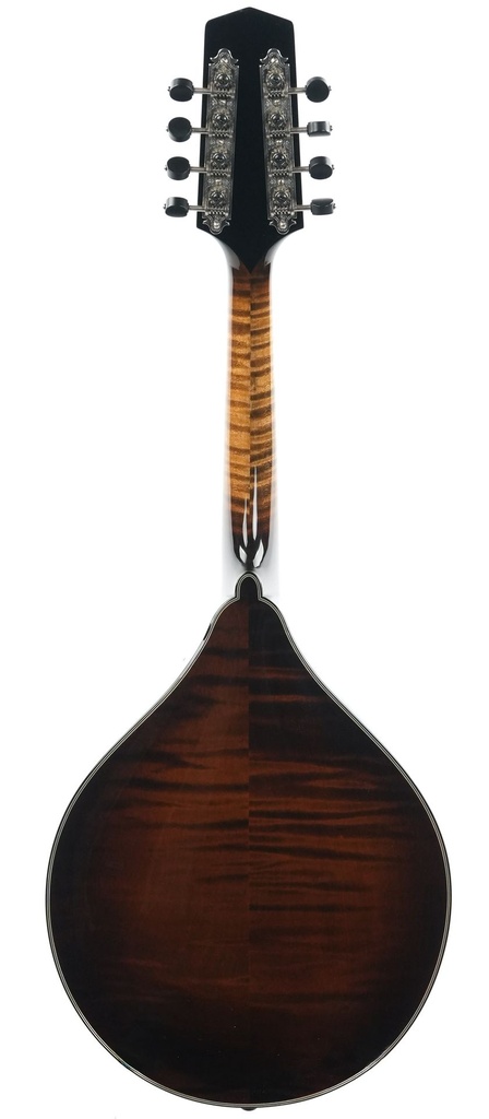 Northfield NFMSP A4 Special Alpine Spruce Icelandic Brown-6.jpg