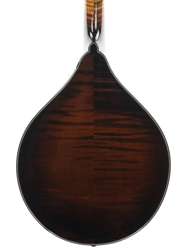 Northfield NFMSP A4 Special Alpine Spruce Icelandic Brown-7.jpg