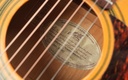 Maton EBG808-TE 2010-12.jpg