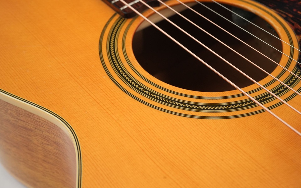 Maton EBG808-TE 2010-11.jpg