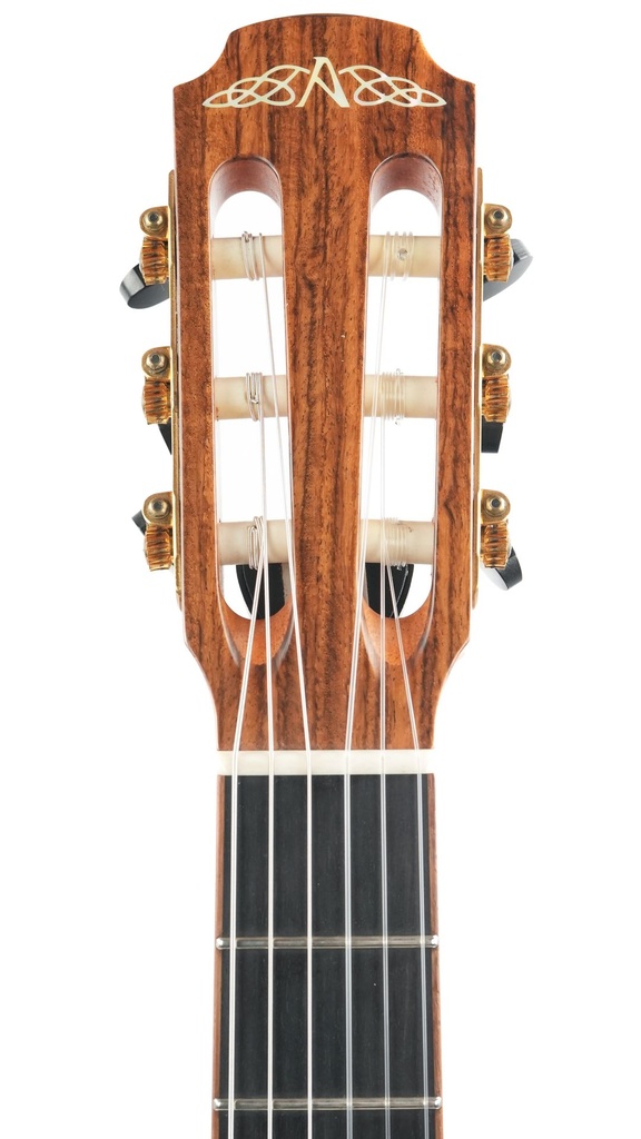 Avalon SL20CN 2018-4.jpg