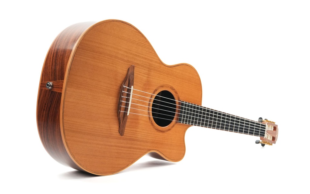 Avalon SL20CN 2018-13.jpg