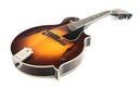Northfield NFB F5A Big Mon Adirondack Standard Sunburst-13.jpg