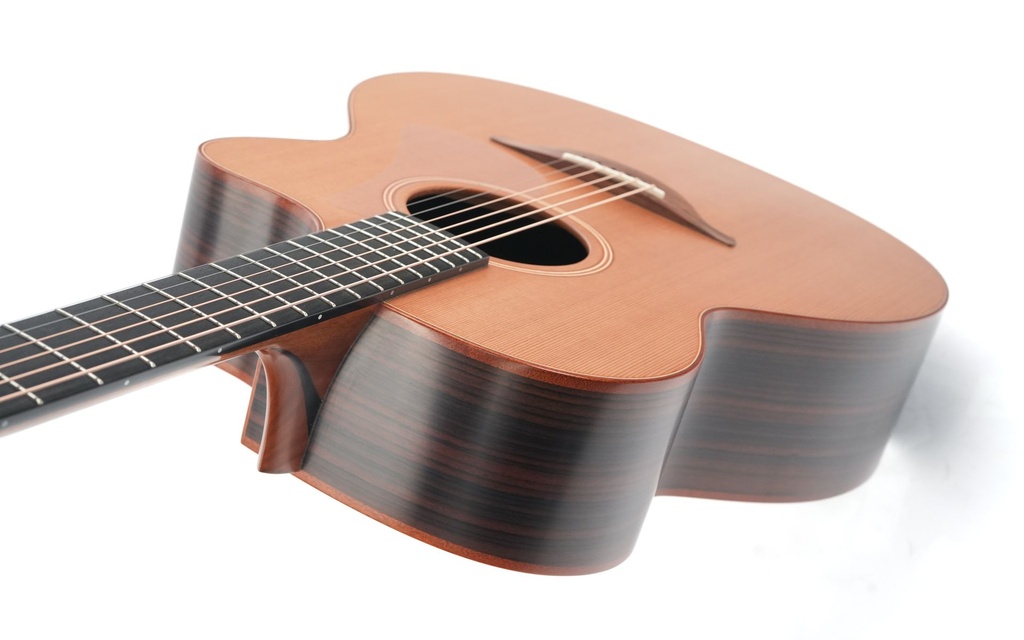 Lowden O25C IRW-CED 2024-8.jpg