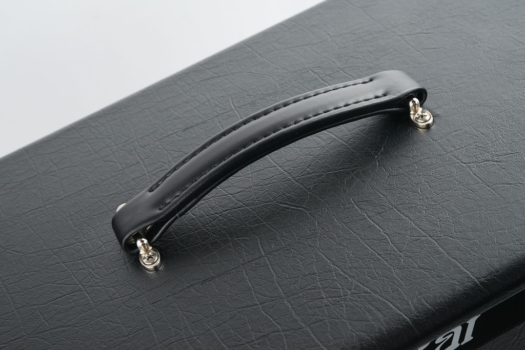 Bad Cat Mod Shop Hot Cat Cabinet-3.jpg