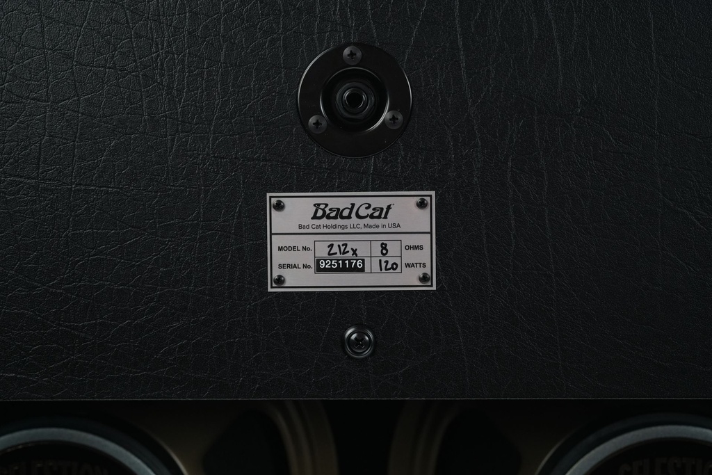 Bad Cat Mod Shop Hot Cat Cabinet-6.jpg