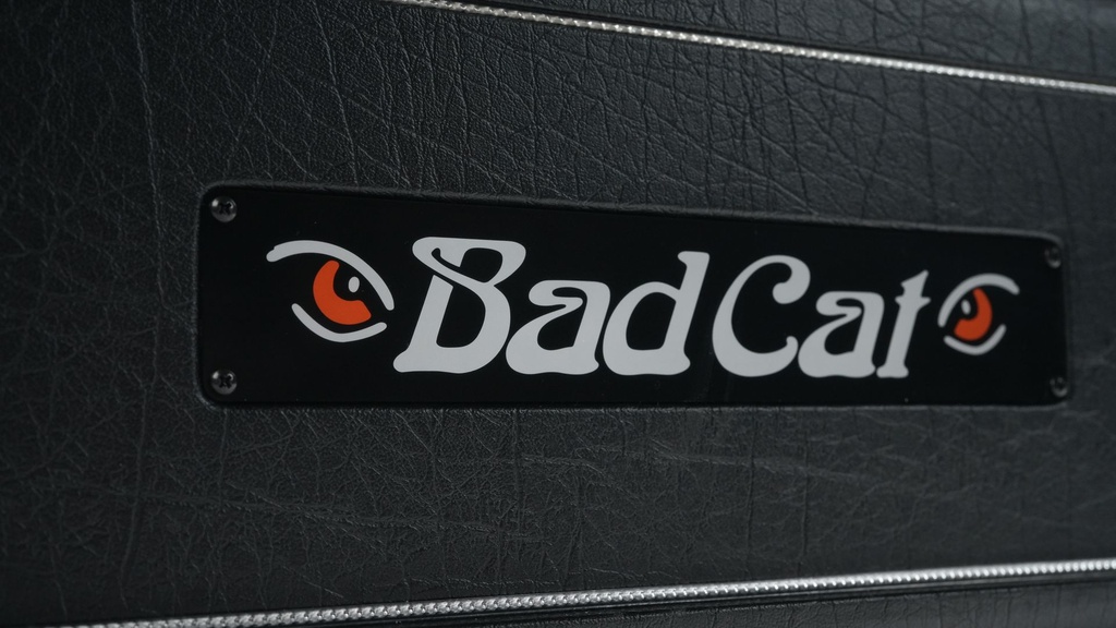 Bad Cat Mod Shop Hot Cat Head-7.jpg