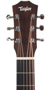 Taylor Baby BT1 Walnut Lefty-4.jpg