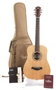 Taylor Baby BT1 Walnut Lefty-1.jpg