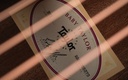 Taylor Baby BT1 Walnut Lefty-11.jpg