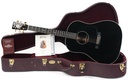 Martin Jimmy Buffett Custom Signature Black 2019-1.jpg
