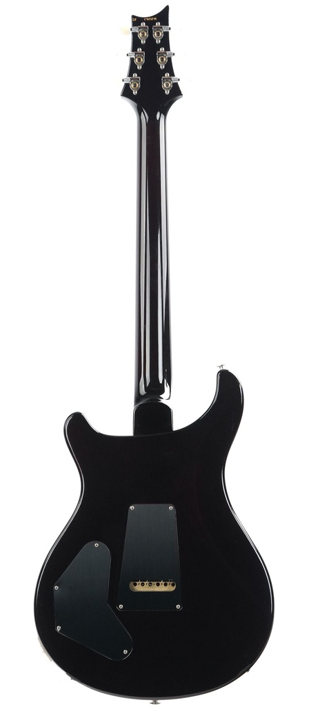 PRS DGT Goldtop Birds-7.jpg