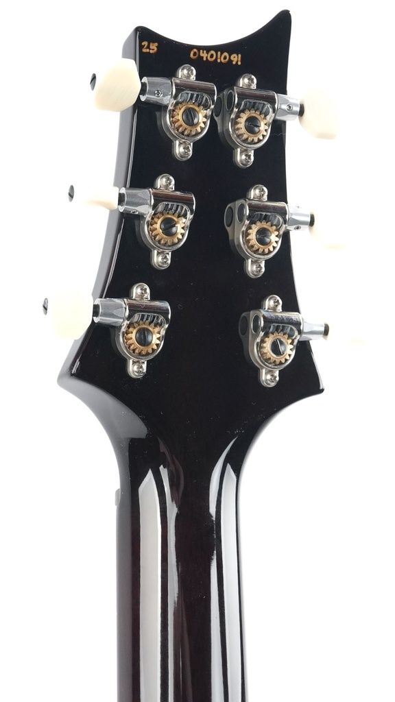 PRS DGT Goldtop Birds-5.jpg