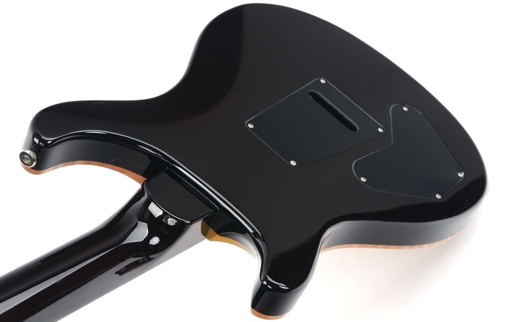 PRS DGT Goldtop Birds-9.jpg