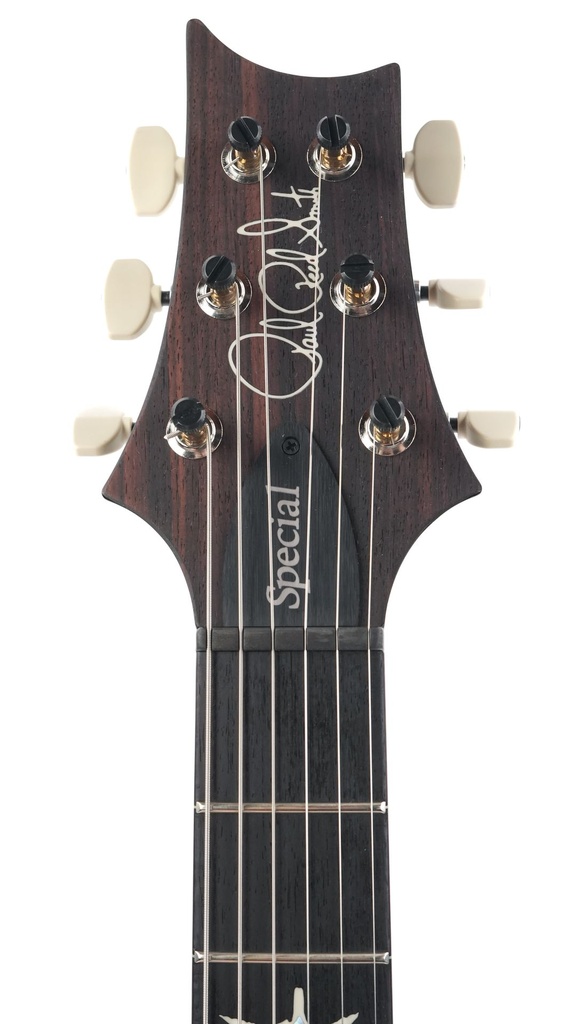 PRS Special 22 Semi Hollow Purple Mist-4.jpg