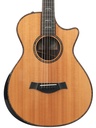 Taylor 912ce 12-fret Spruce Rosewood 2011-3.jpg