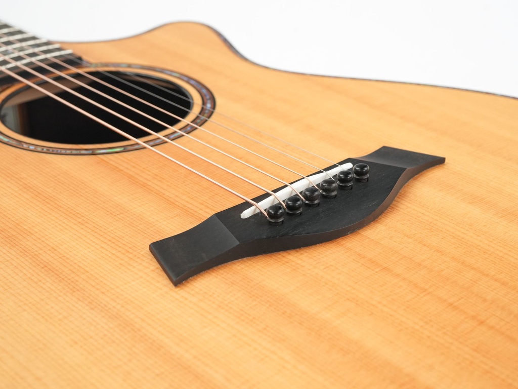 Taylor 912ce 12-fret Spruce Rosewood 2011-10.jpg