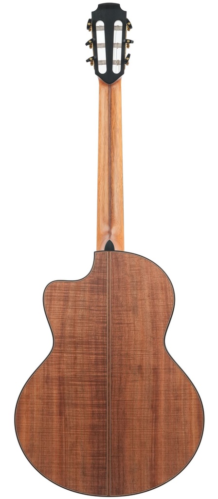 Lowden S50J Tasmanian Blackwood Adirondack-7.jpg