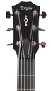 Taylor 314ce 2026-4.jpg
