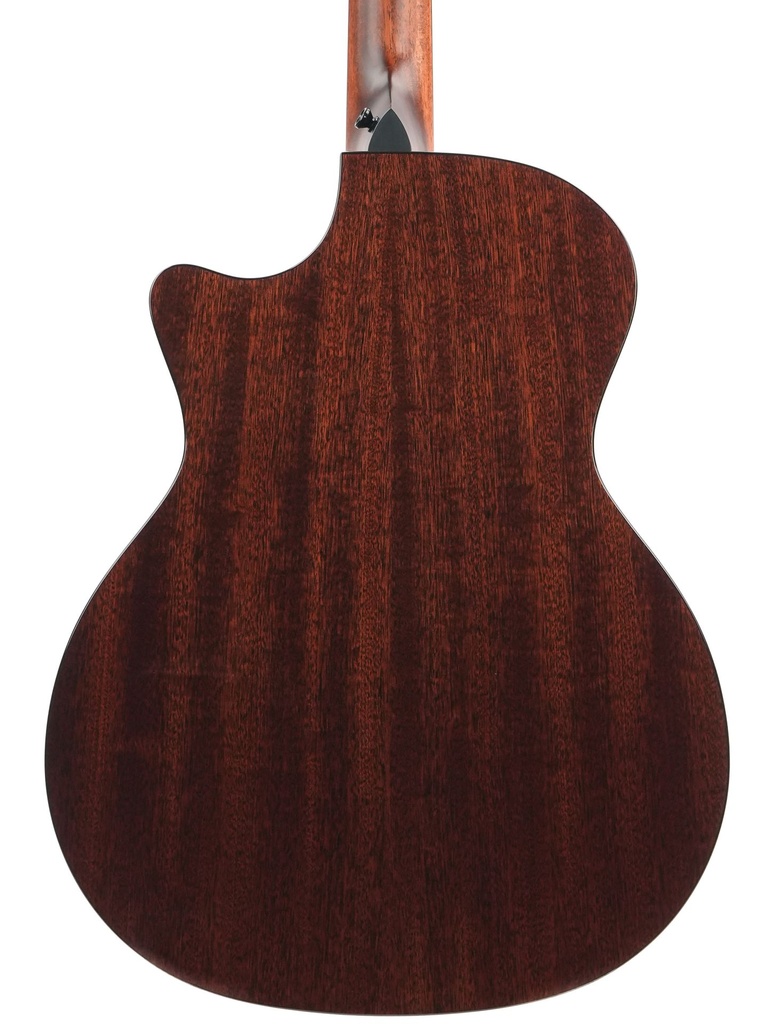 Taylor 314ce 2026-7.jpg