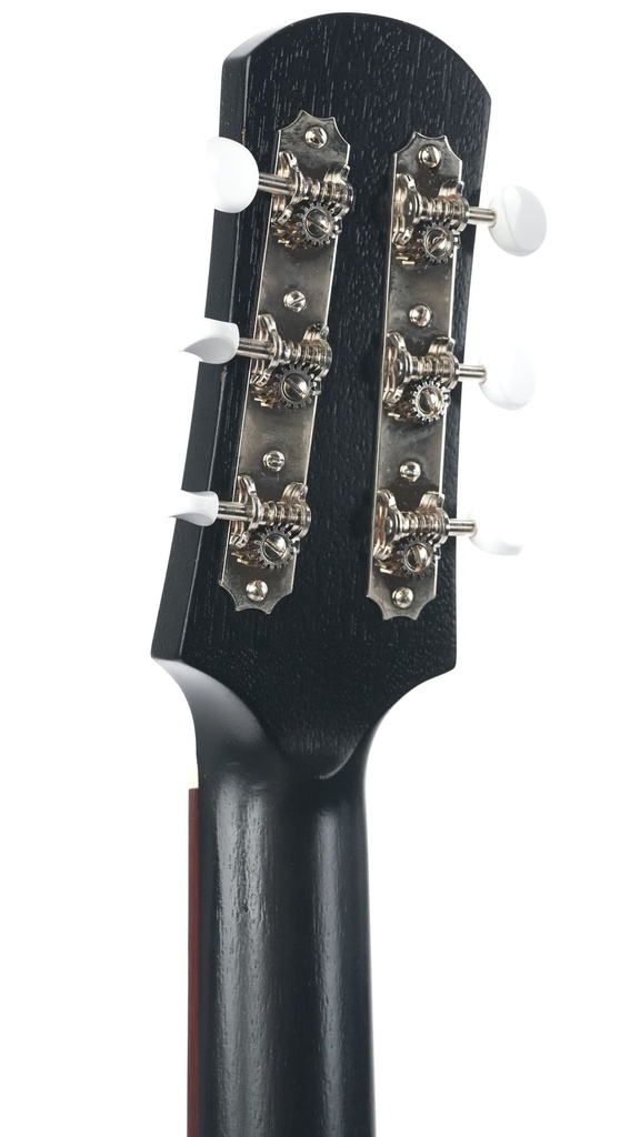 Iris CH Sunburst Mahogany Spruce 2020-5.jpg