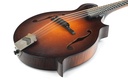 Collings MF Mandolin Sunburst 2005-14.jpg