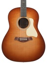 Taylor Gold Label 517e Mahogany Sunburst 2025-3.jpg