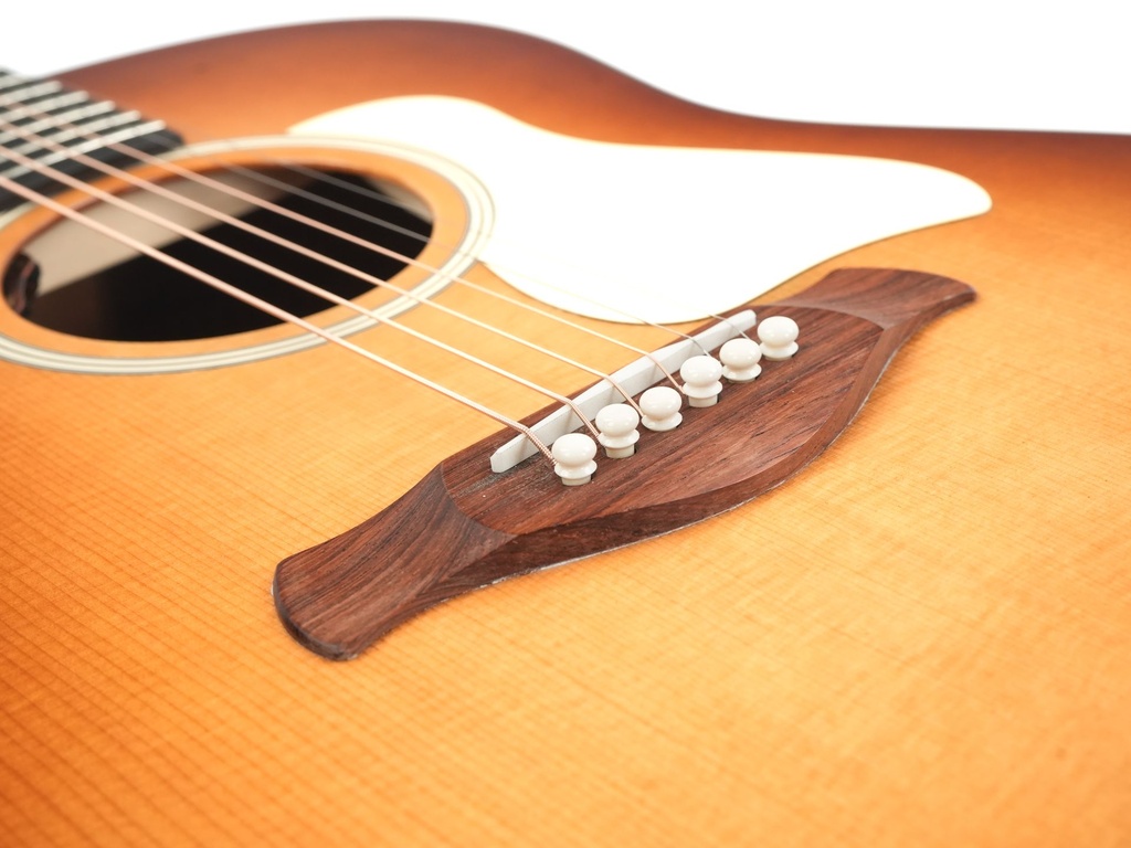 Taylor Gold Label 517e Mahogany Sunburst 2025-10.jpg