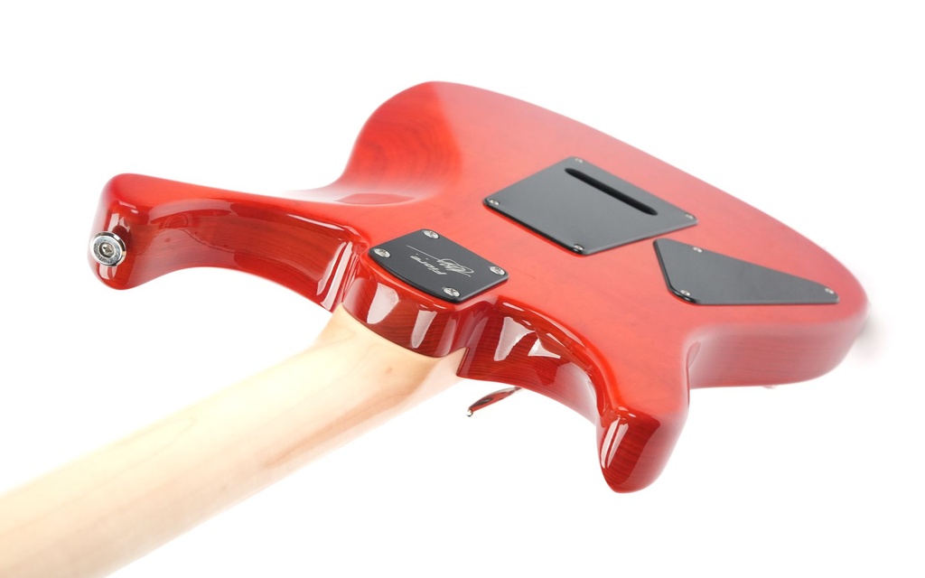 PRS Lettieri Fiore Amaryllis 2024-8.jpg