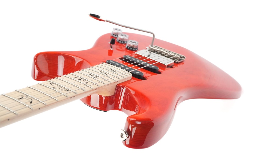 PRS Lettieri Fiore Amaryllis 2024-7.jpg