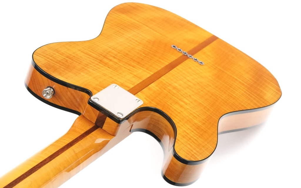 Gun Guitars Model T Mad Cat Inspired 2013-9.jpg