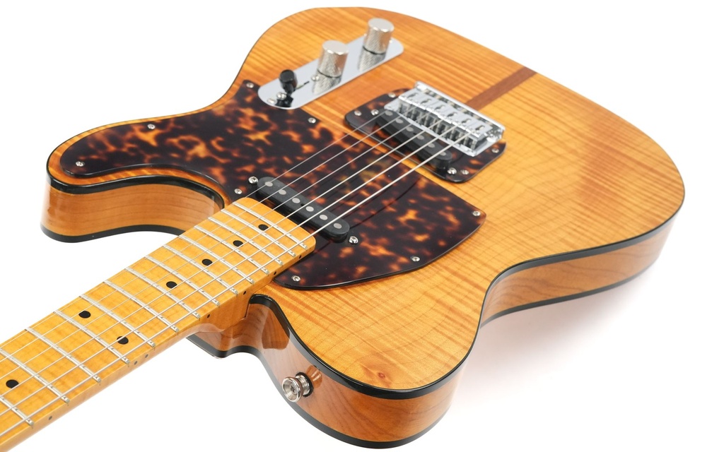 Gun Guitars Model T Mad Cat Inspired 2013-8.jpg