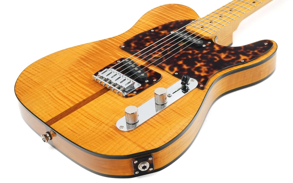 Gun Guitars Model T Mad Cat Inspired 2013-11.jpg