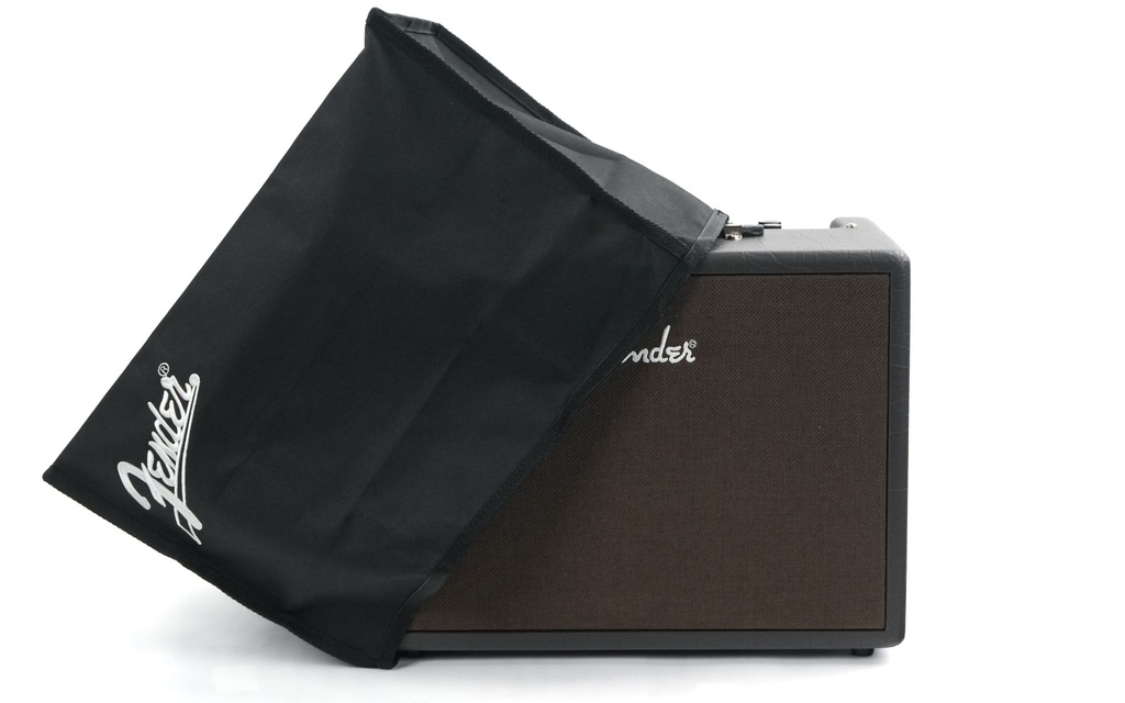 Fender Acoustic Junior Amp-1.jpg