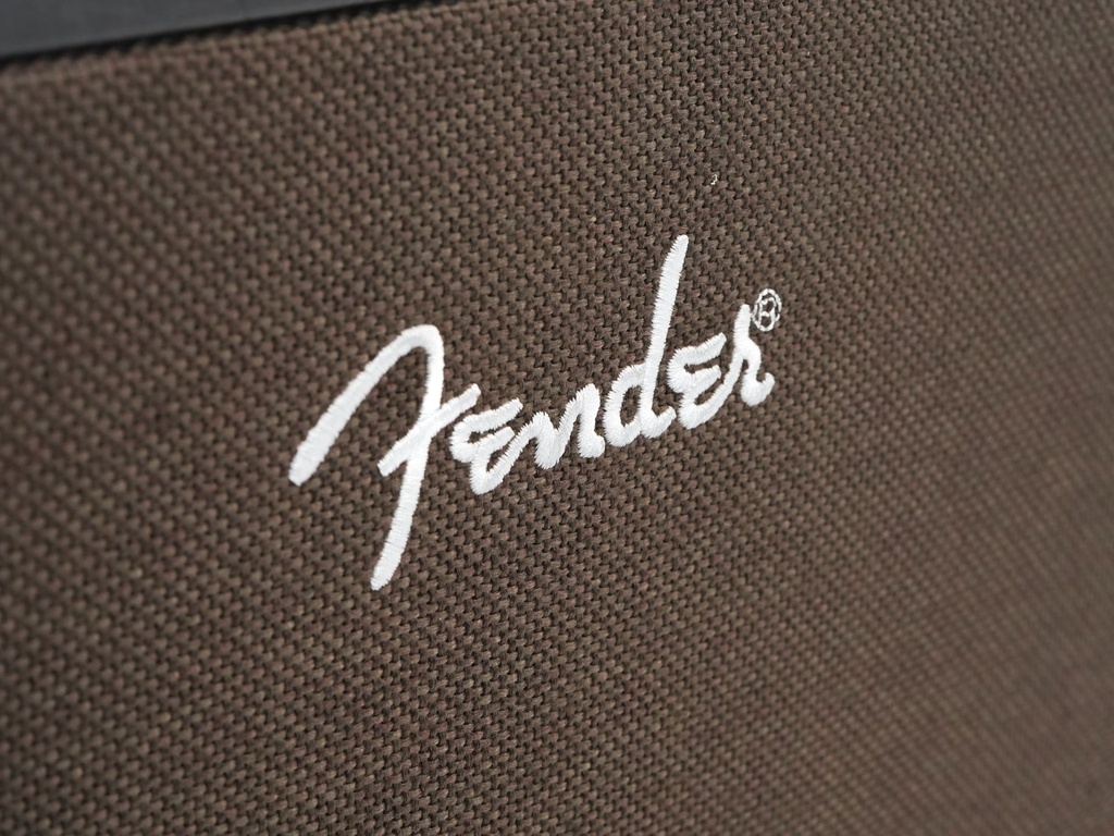 Fender Acoustic Junior Amp-3.jpg