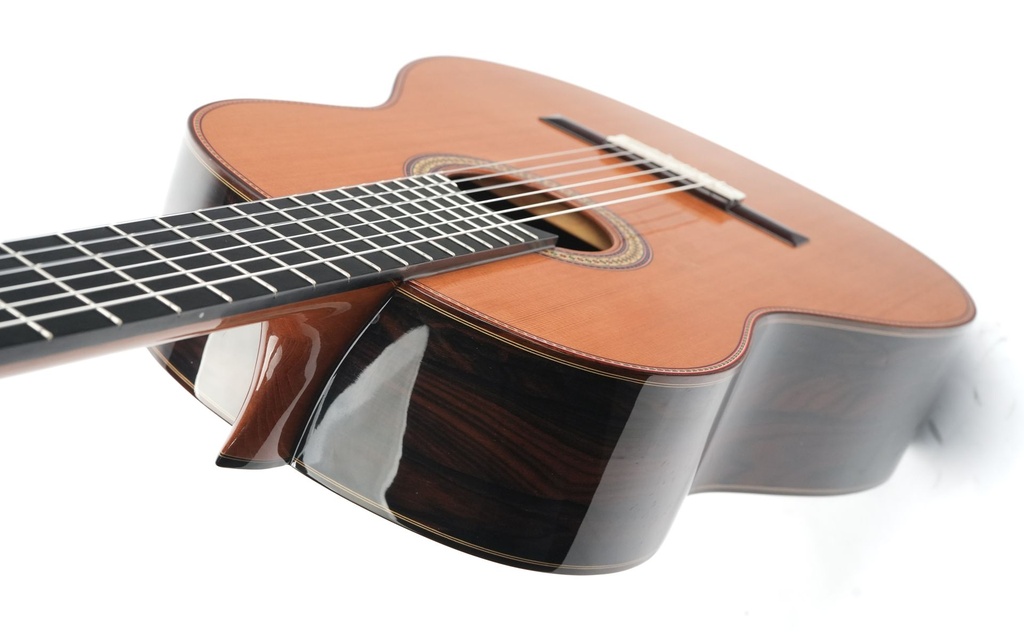 Manuel Adalid Homenaje Cedar 2025-9.jpg