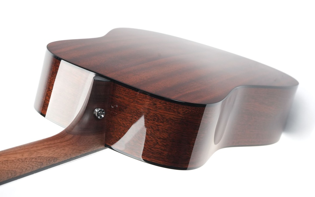 Martin D12E Retro-9.jpg