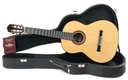 Bautista Iranzo Model 40 Concert Spruce-1.jpg