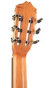 Bautista Iranzo Model 50 Traditional Cedar-5.jpg
