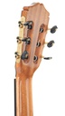 Bautista Iranzo Model 10 Estudio Mahogany-5.jpg