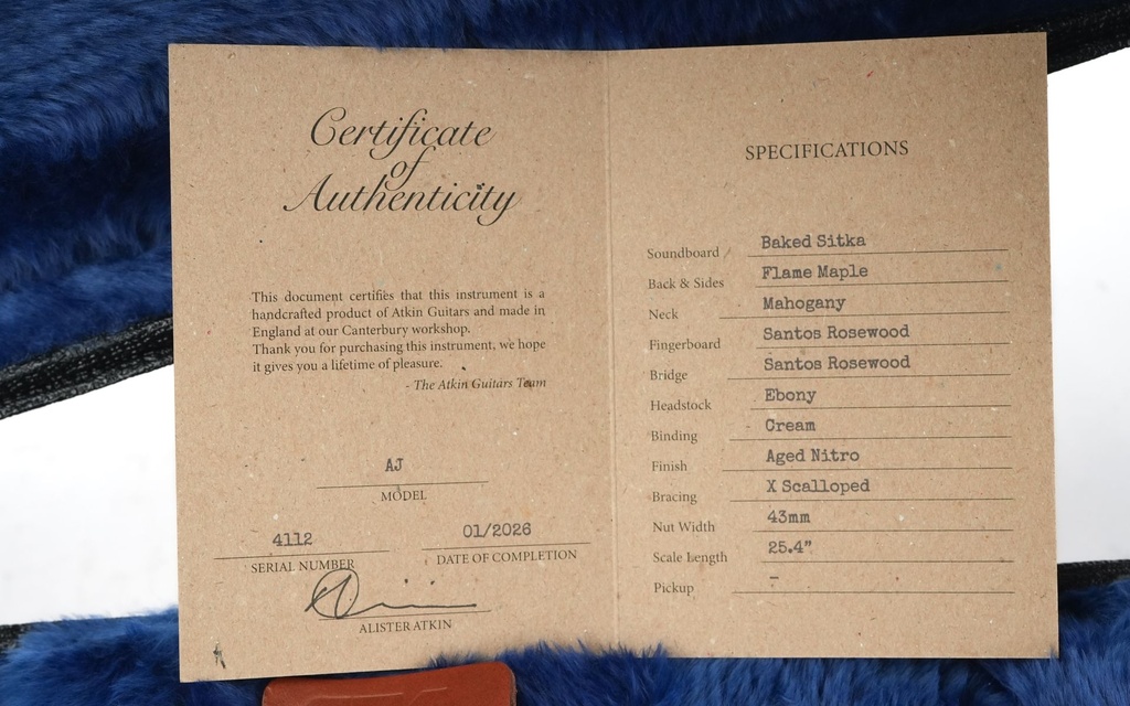 Atkin AJ 'Hops Pickguard'-2.jpg